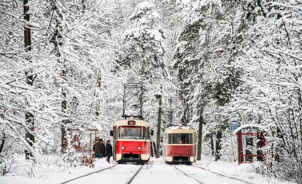 Два Трамваї Маршруті Зустрілися Зупинці Зимовому Лісі — стокове фото