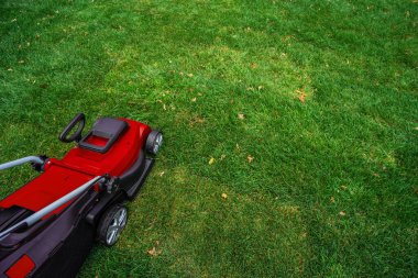 Yeşil çimenlikteki kırmızı elektrikli çim biçme makinesi. Seçici odak.