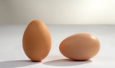 Hafif arka planda iki tavuk yumurtası. Seçici odak.