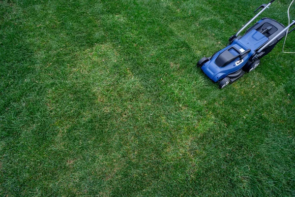 緑の芝生の上のケーブルと青の電気芝刈り機 — ストック写真
