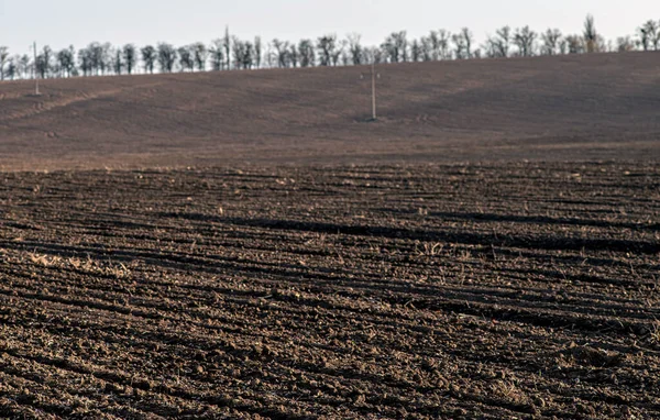 Plowed Field Illuminated Setting Sun Black Soil Selective Focus — 스톡 사진