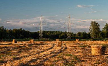 Hasat sonrası biçilmiş buğday tarlasında saman balyalarının yanında yüksek voltajlı elektrik hattı..