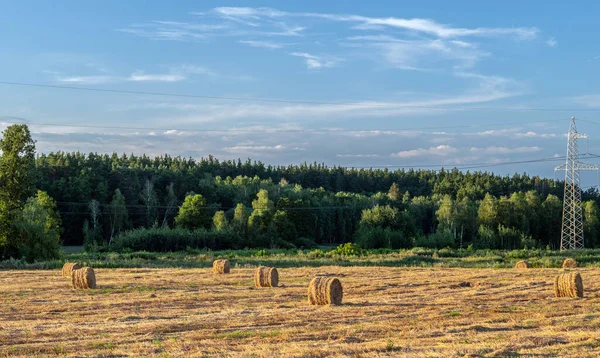 Hasat sonrası biçilmiş buğday tarlasında saman balyalarının yanında yüksek voltajlı elektrik hattı..