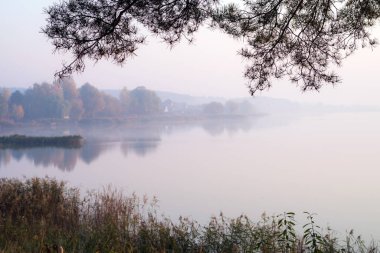 Pine branches over the lake in the morning mist. Autumn landscape. Selective focus.