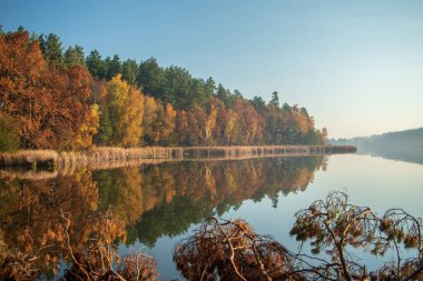 Renkli yapraklar ve kamışlarla dolu sonbahar ormanı göl suyuna yansıyor..
