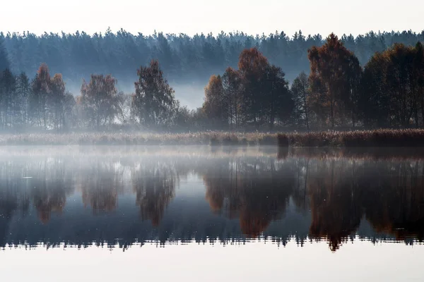 Der Herbstwald Mit Bunten Blättern Und Schilf Spiegelt Sich Wasser — Stockfoto