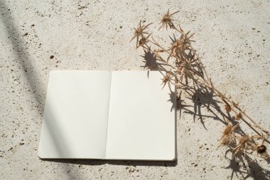 Sonbahar ya da kış düğünü. Doğum günü kırtasiyesi kompozisyonu. Kuru çiçeklerle dolu boş bir günlük. Travertin arka planda sert bir gölge oyunu. Gün ışığında kompozisyon, kopyalama alanı, üst görünüm