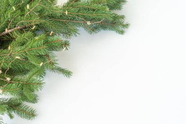 Noel kompozisyonu. Firavun ağacı dalları ve Noel dekoratif ışıkları beyaz arka planda. Anlaşıldı. Düz konum, üst görünüm