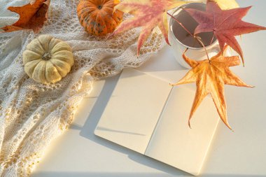 Sonbahar kompozisyonu. Boş takvim, beyaz arkaplanda defter modeli. Balkabakları, kuru yapraklar. Sonbahar, sonbahar, Cadılar Bayramı konsepti. Gün batımında gün ışığı