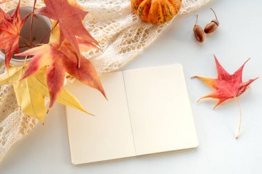 Sonbahar kompozisyonu. Boş takvim, beyaz arkaplanda defter modeli. Balkabakları, kuru yapraklar, meşe palamutları. Sonbahar, sonbahar, Cadılar Bayramı konsepti. Gün batımında gün ışığı