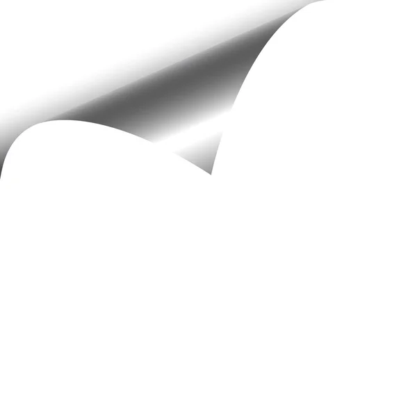 Papier bouclé blanc — Image vectorielle