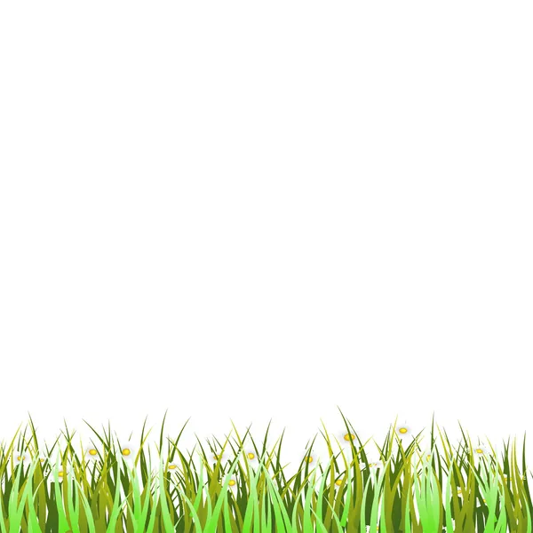 Groen gras — Stockvector