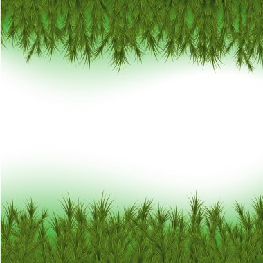 Noel köknar arka plan