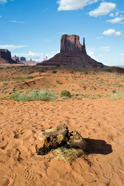 Monument Valley — Stock fotografie