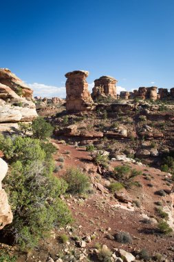 Canyonlands iğneler