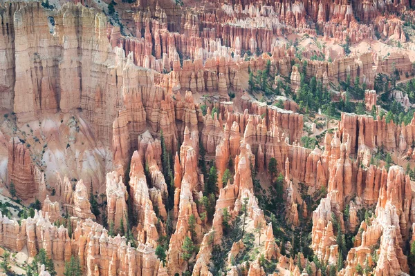 Bryce Canyon. — Fotografia de Stock