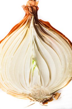 golden onion clipart