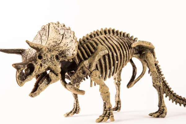 A Triceratops — Stock Fotó