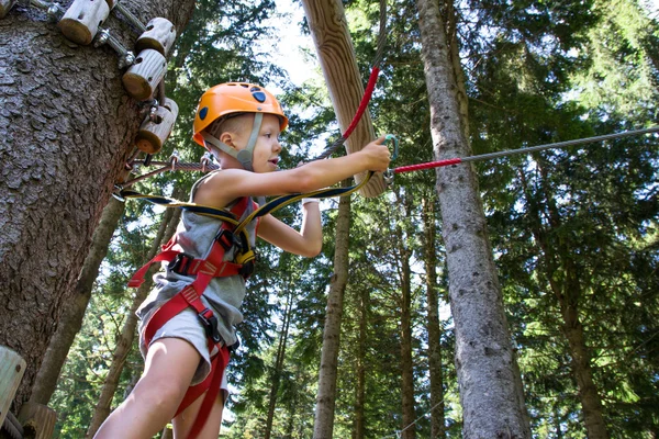 Tree climbing — Stock Photo, Image