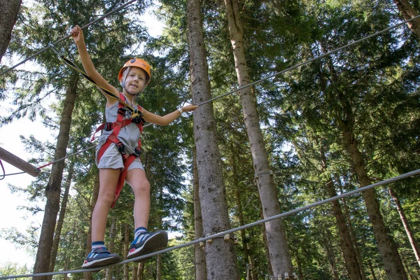 Tree climbing — Stock Photo, Image