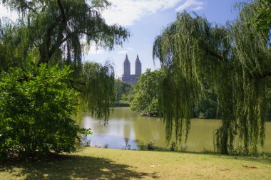 Central park