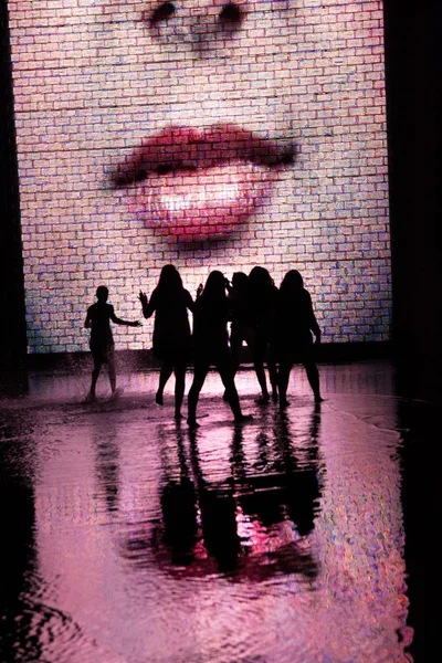 Crown Fountain in Chicago — Stock Photo, Image