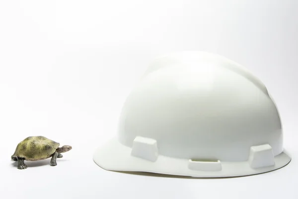 Turtle meet helmet — Stock Photo, Image