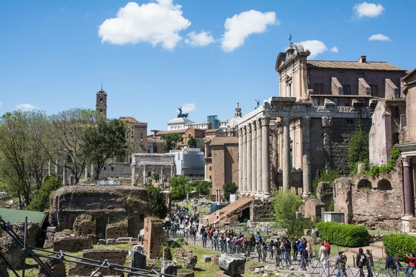 Roman forum in rome — Stock Photo, Image