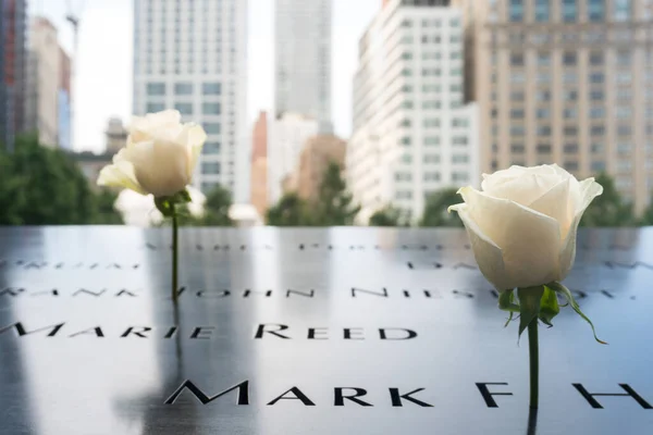 Nova York Eua Agosto 2019 Uma Rosa Memorial Das Vítimas — Fotografia de Stock