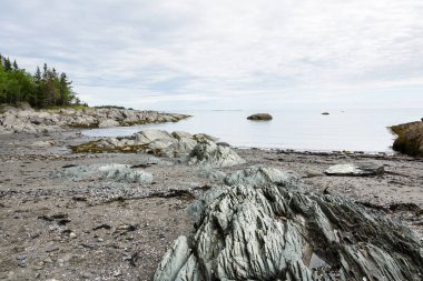 Ulusal Parc du Bic 'te bir yaz günü deniz ve güzel manzaralar arasında gezinmek