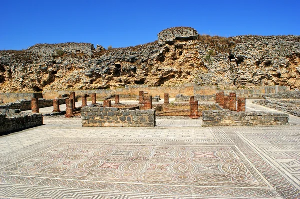 Mozaika w ruin rzymskich conimbriga — Zdjęcie stockowe