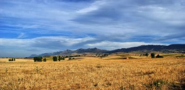 Castilla la mancha peyzaj