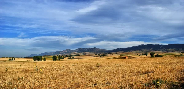 Castilla la mancha peyzaj