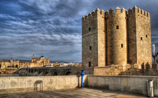 Romeinse brug van cordoba — Stockfoto