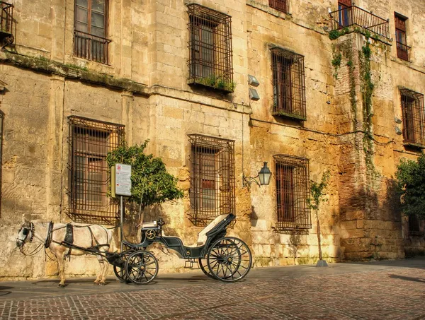 Cavalo e carroça tradicionais em Córdoba — Fotografia de Stock
