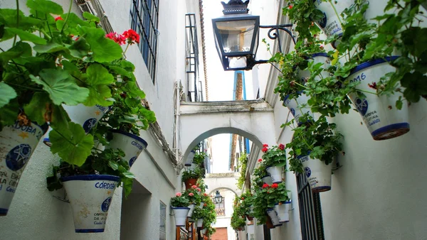 Street of jewish quarter in Cordoba — Stock Photo, Image