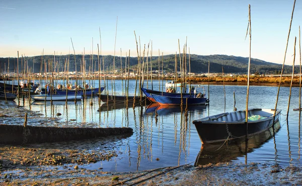 Barcos de madeira tradicionais no rio Lima — Fotografia de Stock