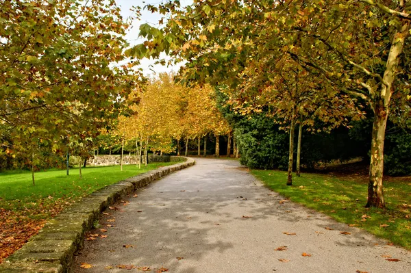 Parque Cidade Porto Portugal — Fotografia de Stock