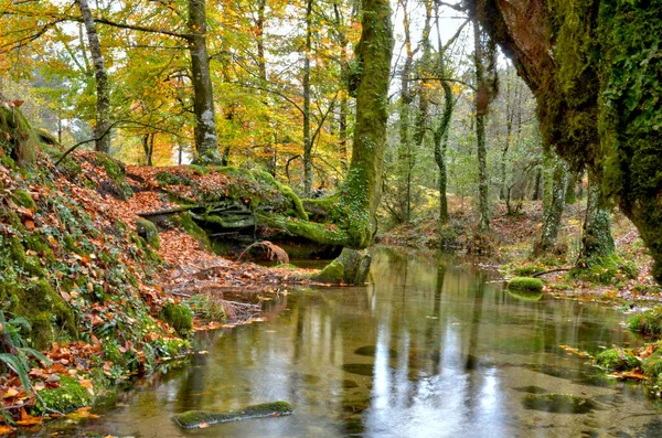 Floresta Albergaria Outono Parque Nacional Peneda Geres Portugal — Fotografia de Stock