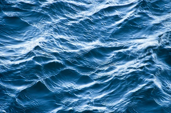 Blå bølge - Stock-foto