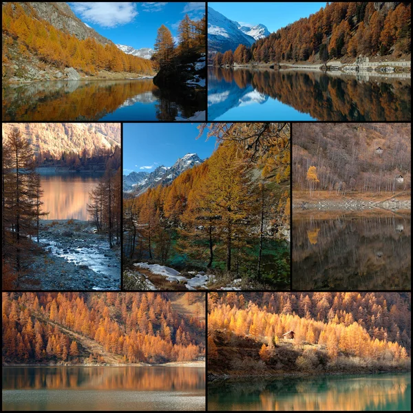 Autumn colors collage — Stock Photo, Image