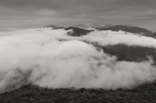 Облака в долине — стоковое фото