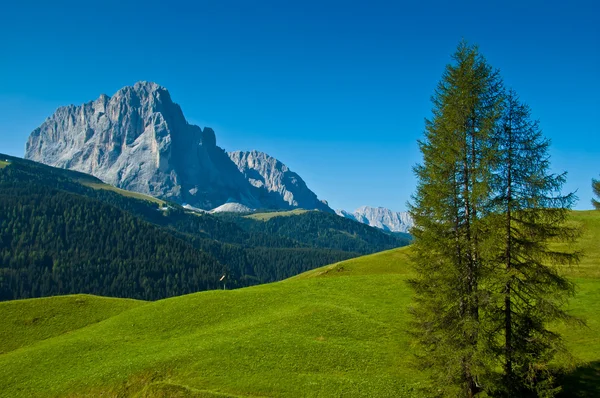 Grupa sassolungo i lasu, Dolomity — Zdjęcie stockowe
