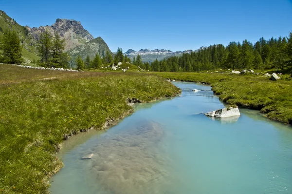 Alpe devero, utsikt över älven och skogen — Stockfoto