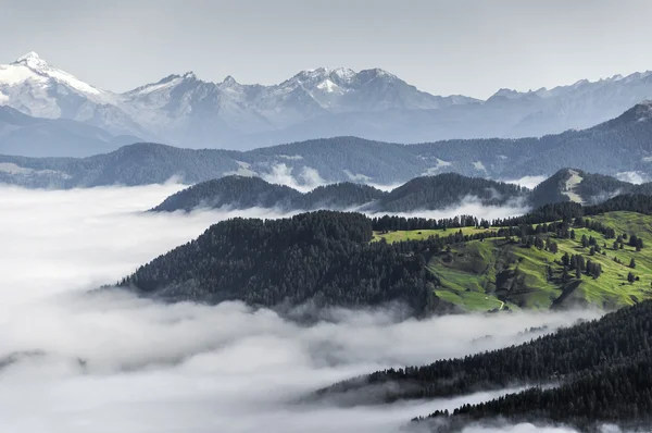 Morgondimma i dalen, dolomiti — Stockfoto