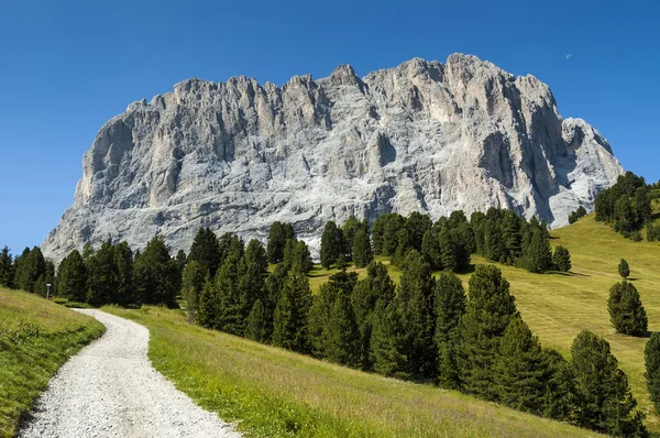 Gruppo Sassolungo, sentiero e bosco, Dolomiti — Foto Stock