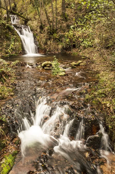 Höst, vattenfall i skogen av cuasso al monte - varese — Stockfoto