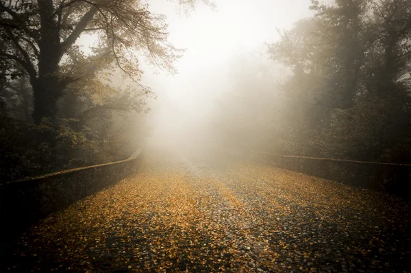 Nevoeiro nas pedras de paralelepípedos, Sacro Monte de Varese — Fotografia de Stock