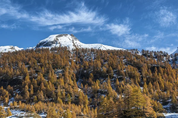 Alpe Devero, őszi szezonban, Piemont - Olaszország — Stock Fotó