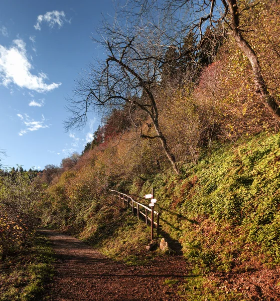 Mountain path in autumn season, Campo dei Fiori - Varese — Stock Photo, Image